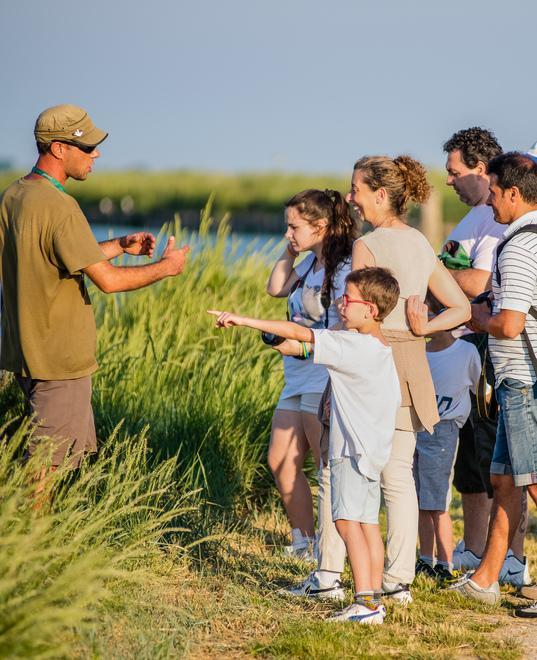 Fiera del Birdwachting e Parco, Lipu e Wwf: «Non ci saremo» 