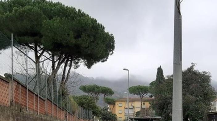 Ladri in azione a Bonascola furti nelle macchine in sosta