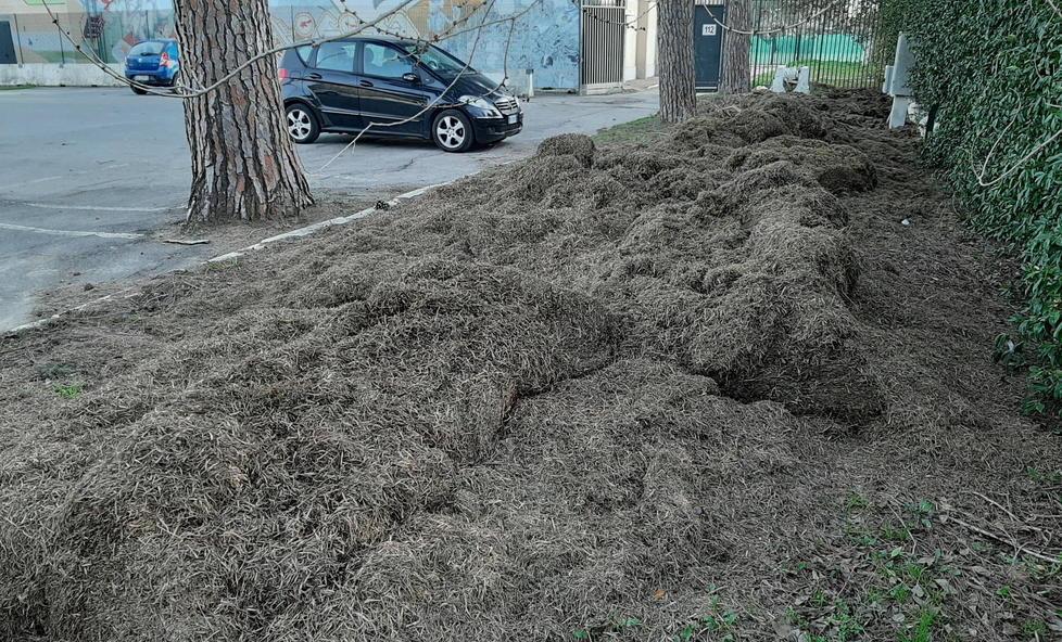 «Massima cura per lo Zecchini, Lesa la nostra immagine» 
