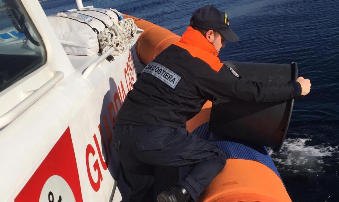 Sequestrati 600 ricci, sanzione da mille euro