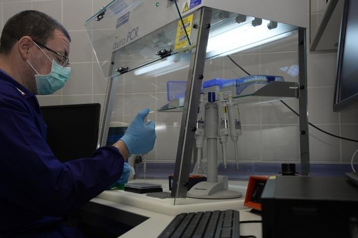 Nasce la Fondazione: il dna dei sardi d'Ogliastra al sicuro 