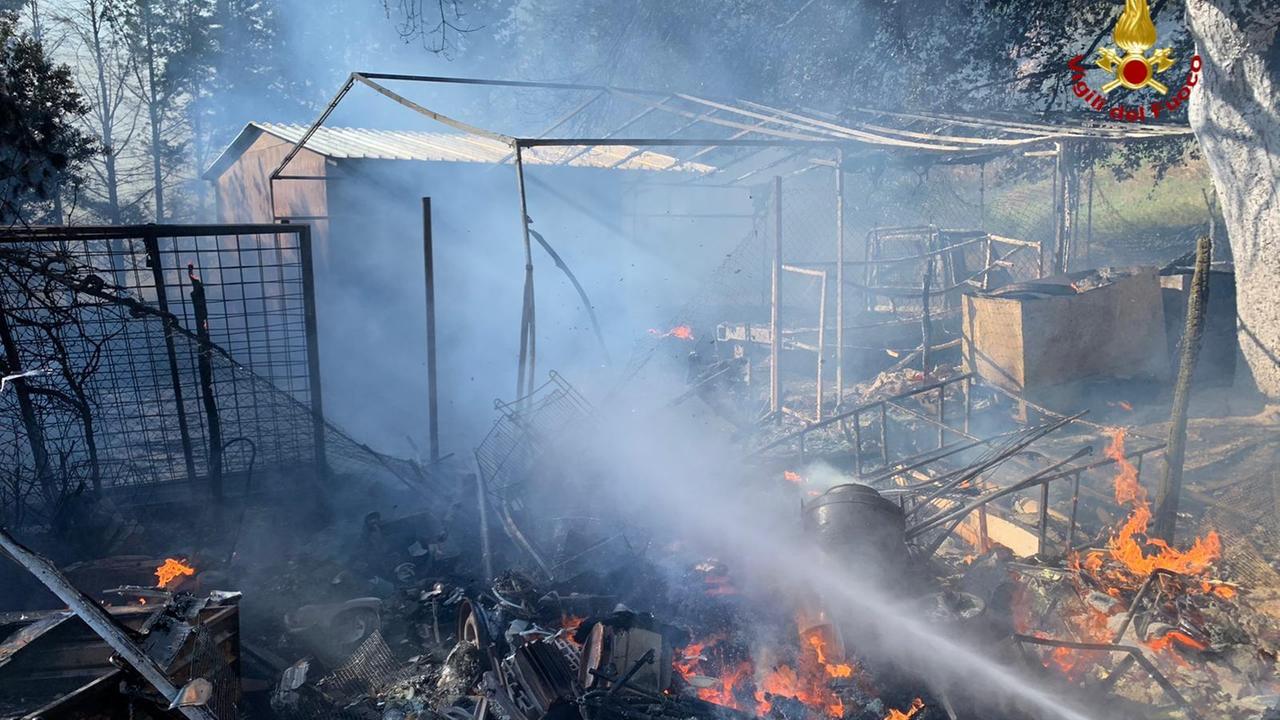 Bibbona, a fuoco alcune baracche