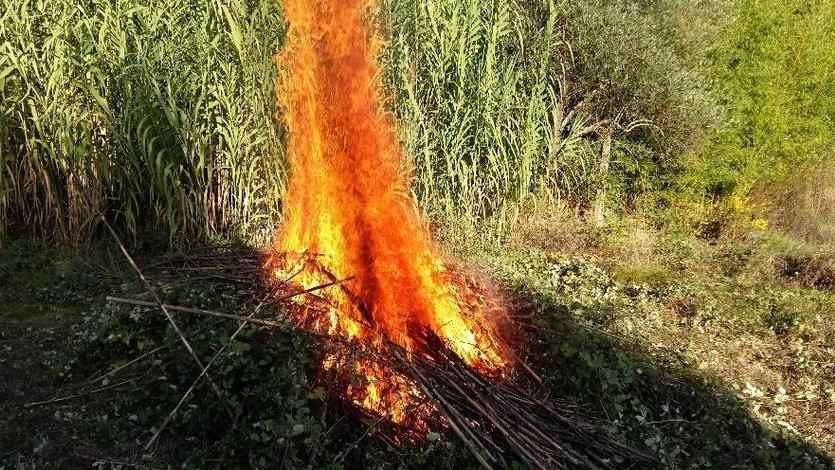 Per i falò fuorilegge a Capannori fatte 63 multe in un anno