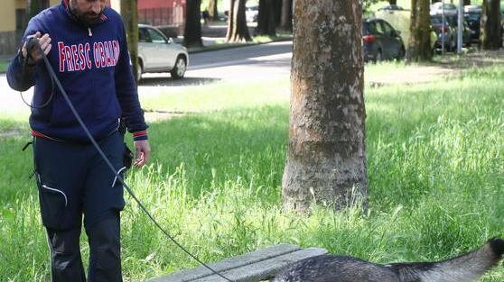 Trovato con l’eroina Un arresto in zona Gad
