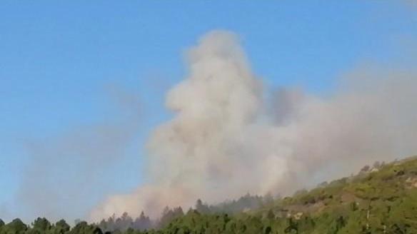 Incendio nel cantiere forestale