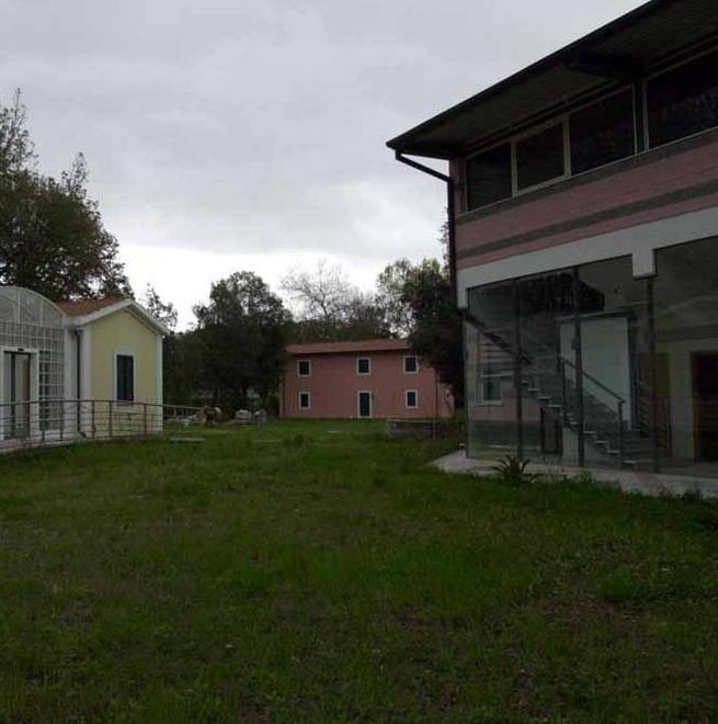 La “ banda degli asili”: furti nelle auto in sosta delle mamme 