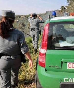 Carabinieri forestali controllano un’azienda