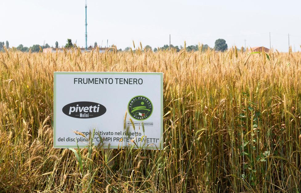 Le farine Pivetti da export Cresce il venduto all’estero 