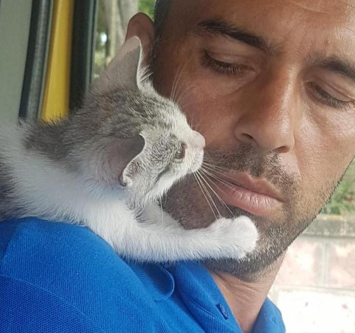 Il taxi dog: «Non ci dormivo la notte: ho preso un aereo e sono andato a vedere»