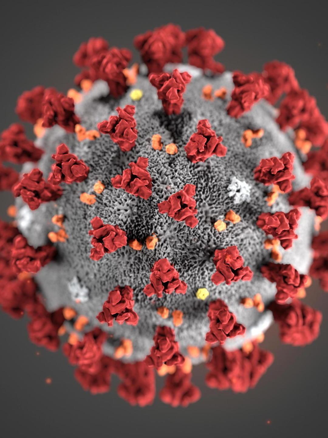Coronavirus, Nieddu: «Sardegna pronta a ogni evenienza»