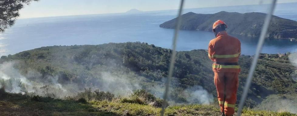 Fuoco pilotato per prevenire gli incendi nel bosco
