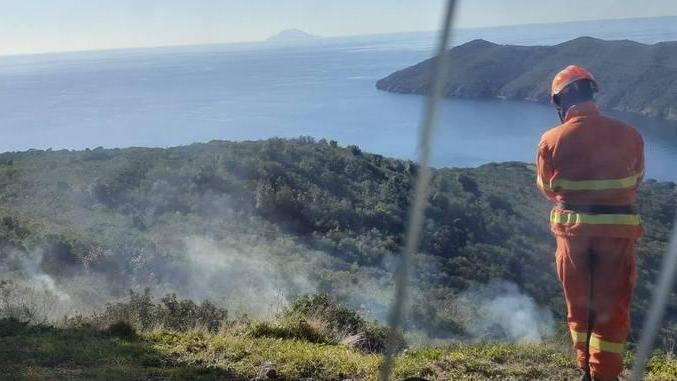 Fuoco pilotato per prevenire gli incendi nel bosco