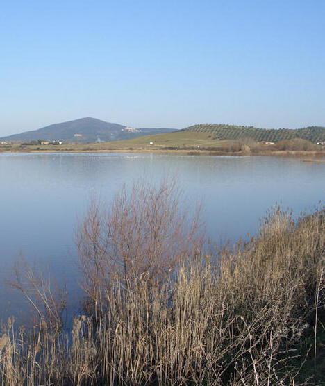 Lago di San Floriano Via libera al recupero 