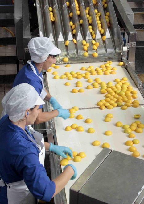 Conserve Italia Accordo fatto con i sindacati sul personale 
