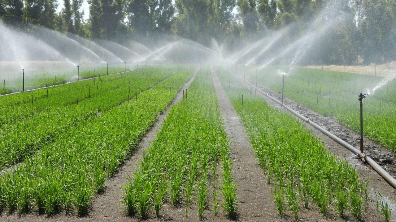 Irrigazione straordinaria per battere la siccità 