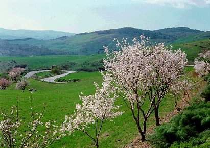 La campagna ai primi tepori primaverili