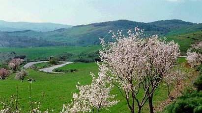 La campagna ai primi tepori primaverili