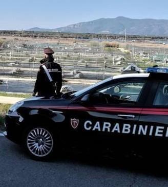 Rubano 30 kg di spigole e orate Il colpo sventato dai carabinieri 