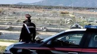 Rubano 30 kg di spigole e orate Il colpo sventato dai carabinieri