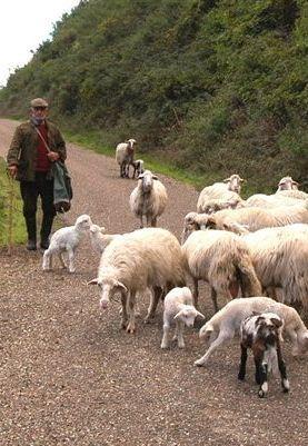 NON SIAMO L’ANELLO DEBOLE MA CUSTODI DI CULTURA