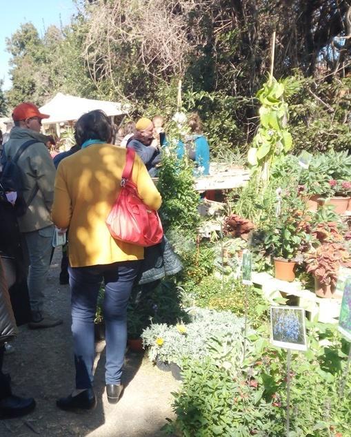 Milis, primavera in giardino spegne le prime venti candeline