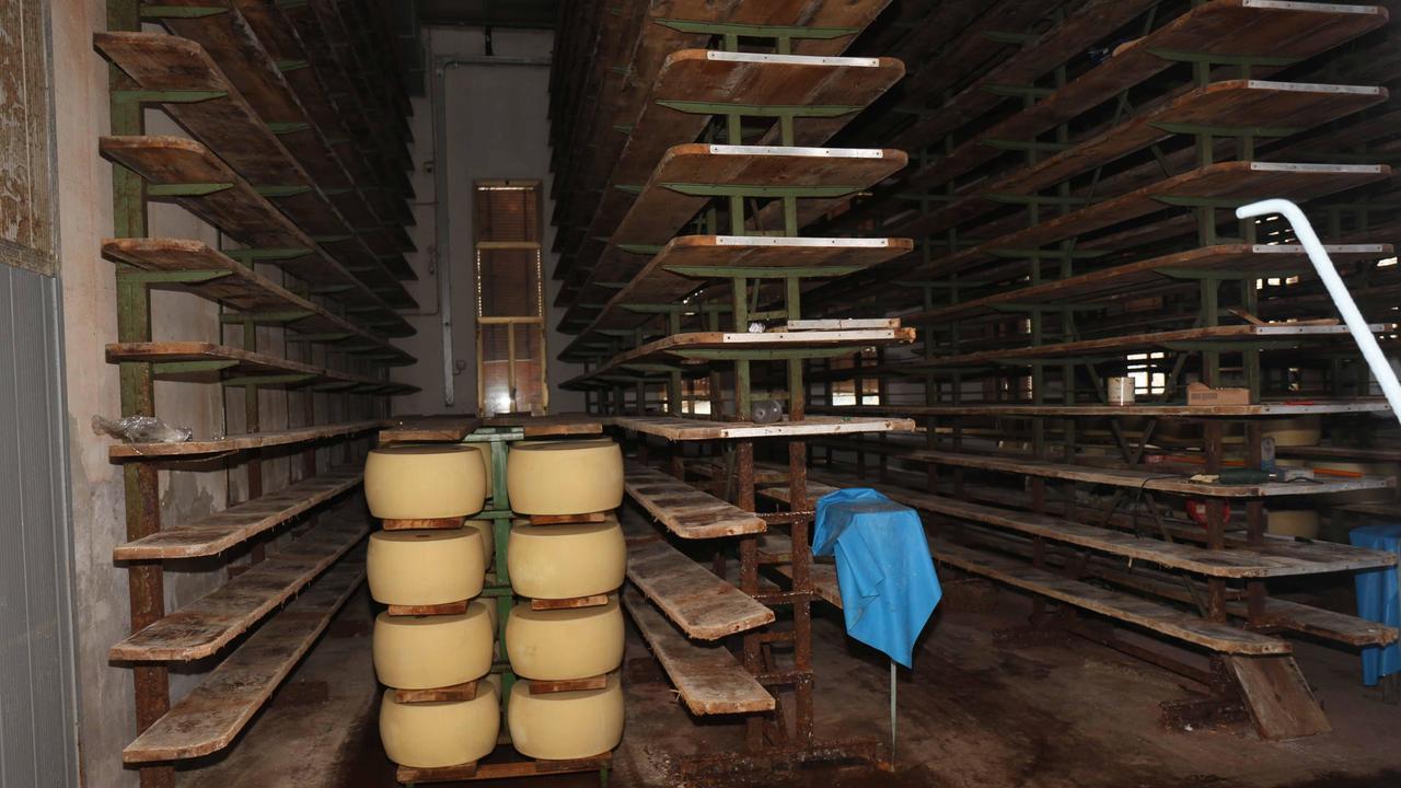 Foto di repertorio