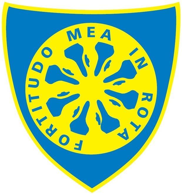 Si salvano calderini e forte