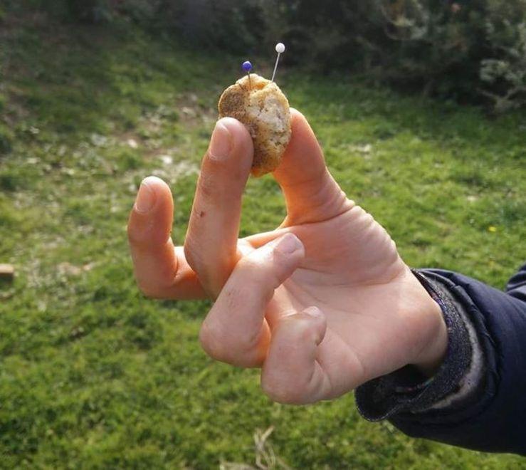 Allarme bocconi con spille nel parco di via Amendola 