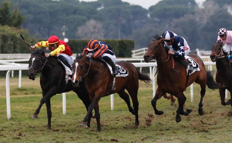 Spettacolo a San Rossore Zeta Penny e Bombolina i due migliori anglo-arabi
