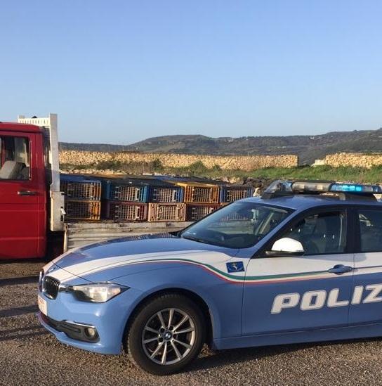 Fermato sulla 131 con 300 galline: 15mula euro di multa per un camionista