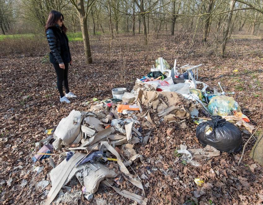 Cumuli di rifiuti nel boschetto sperimentale di Ro: «Area abbandonata e animali in pericolo» 