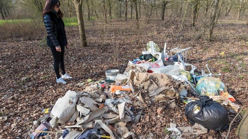 Cumuli di rifiuti nel boschetto sperimentale di Ro: «Area abbandonata e animali in pericolo»