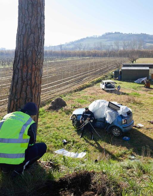 Nuovi tagli di pini per aumentare la sicurezza sulle strade 