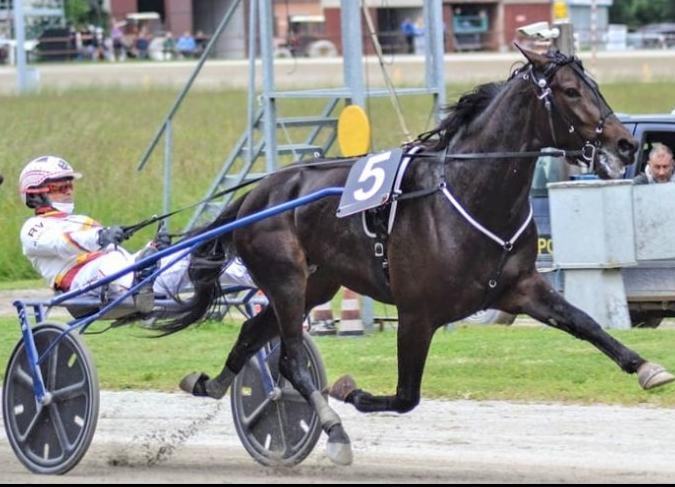 Da Migliarino torna in pista il campione Zacon Gio