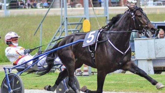 Da Migliarino torna in pista il campione Zacon Gio