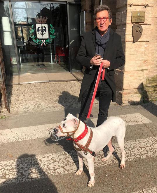 Castelnovo Sotto, il veterinario contro il sindaco: «Non ho abbandonato i cani, avevo avvisato» 