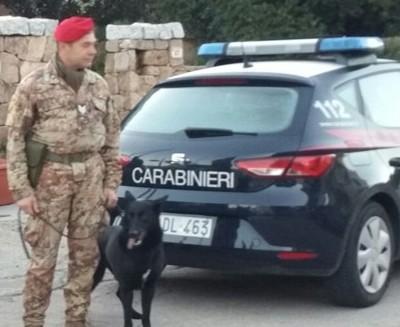 Un bidone con 11 chili di droga 