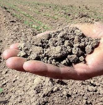 Campi asciutti, da oggi riprendono le irrigazioni