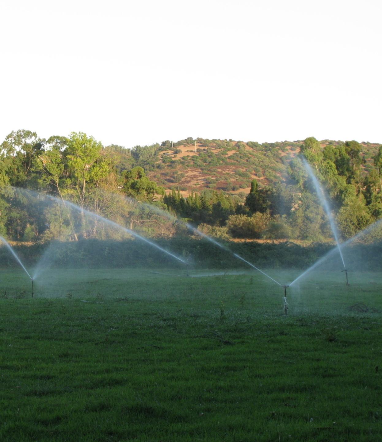 Campagne all’asciutto, da oggi via alle irrigazioni 