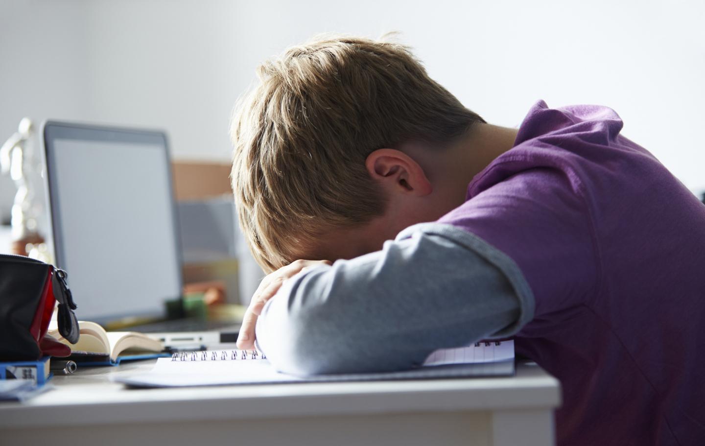 Cyberbullismo, alunni a lezione di sicurezza 