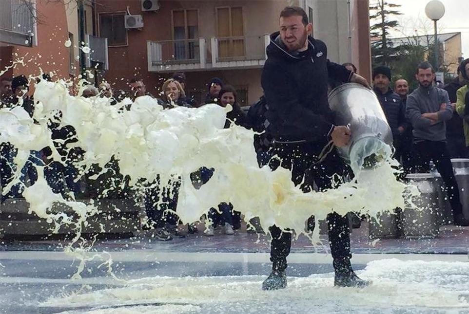 Il latte sardo in fuga: «Qui non ci pagano» 