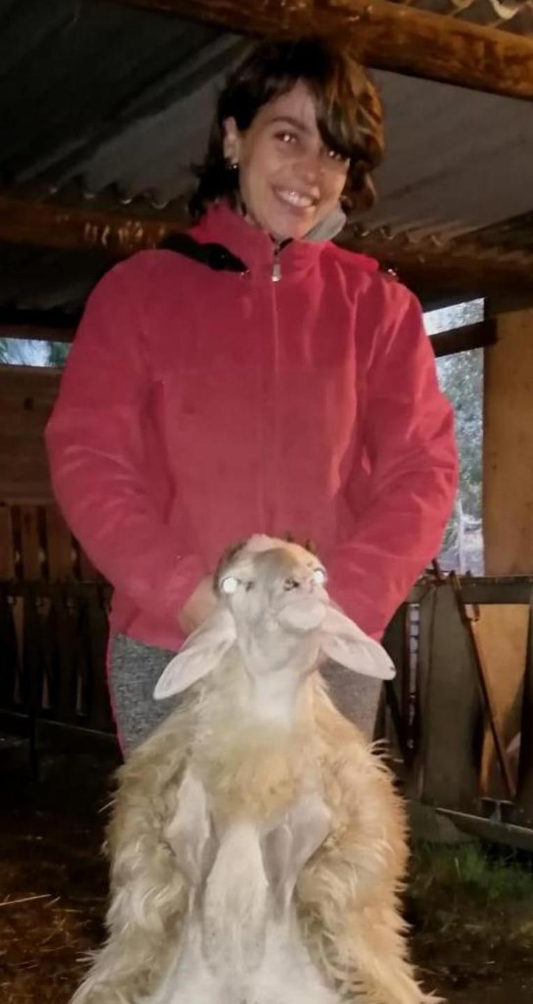 Cinzia, pastora e mamma, dice basta: «Il latte lo spediamo in Toscana»