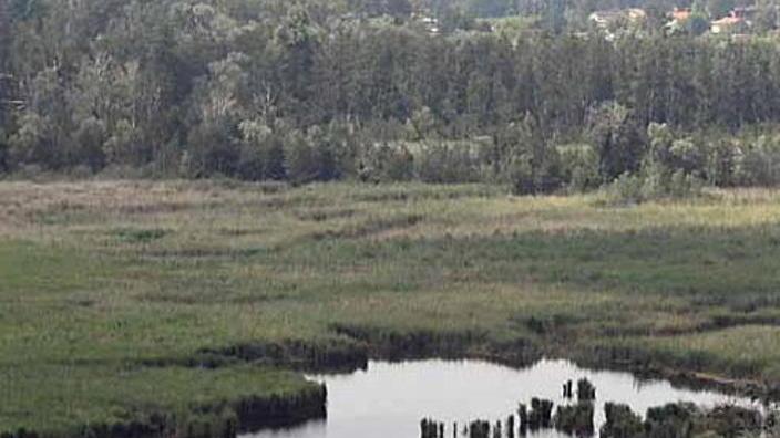 «Arrivano dal Lago di Porta i cattivi odori alla Renella»
