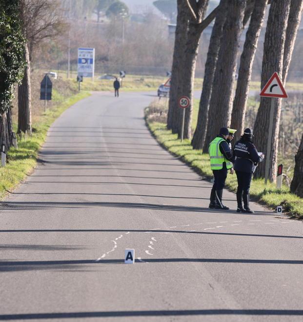Sono 43 gli alberi sulla 429 destinati a essere abbattuti 