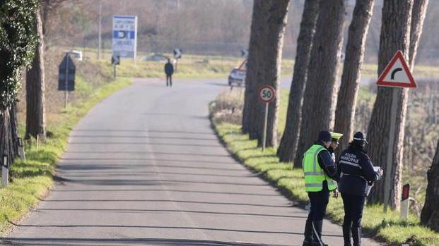 Sono 43 gli alberi sulla 429 destinati a essere abbattuti