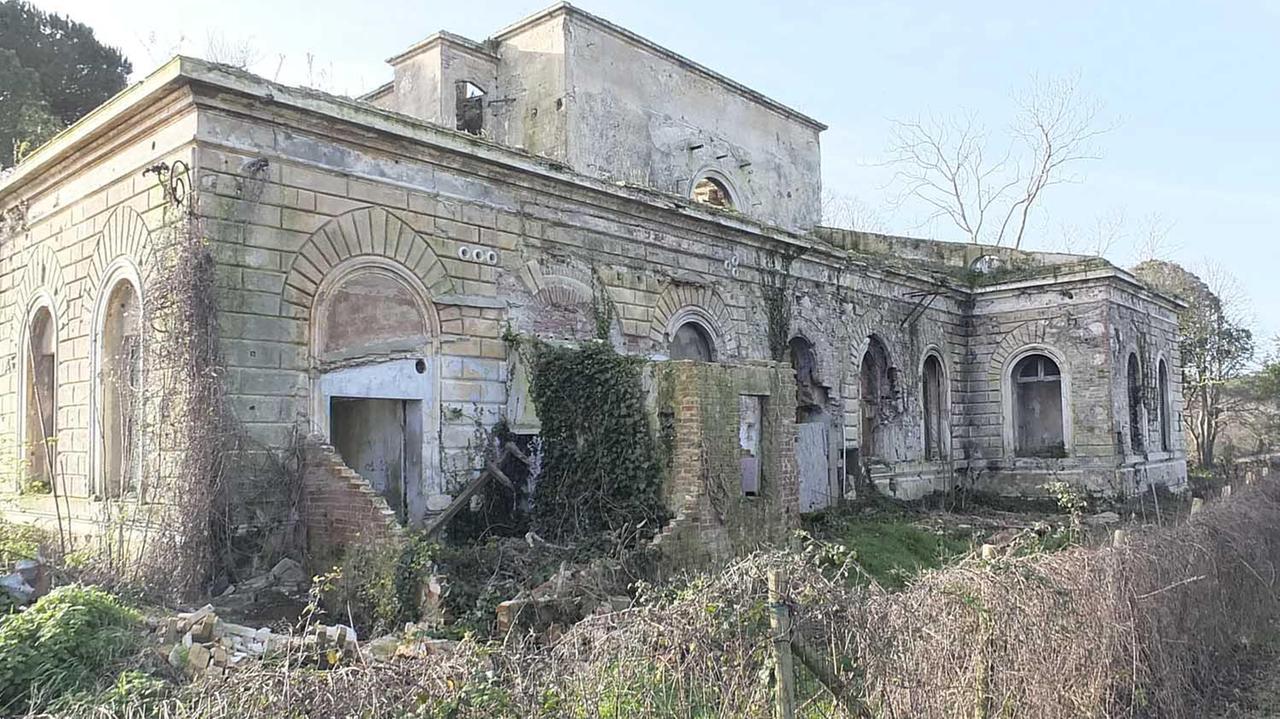 La stazione radio di Coltano (foto Fabio Muzzi)