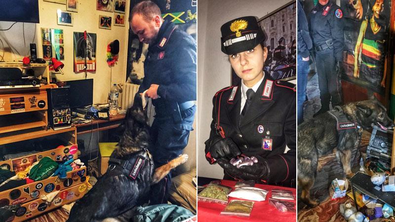 Il cane Roy durante la perquisizione. La droga sequestrata dai carabinieri e una bella foto del cane antidroga Roy