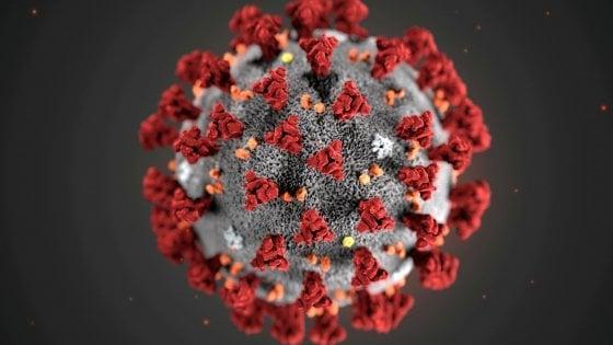 Effetto coronavirus sul gioco, a Prato scommesse in forte calo 