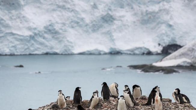 È caldo record in Antartide: 20,7 gradi 