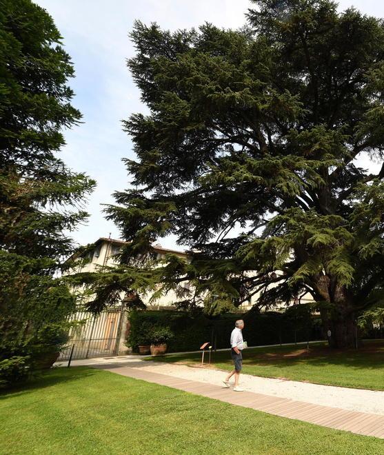 Anche l’Orto botanico può fruire dell’Art Bonus